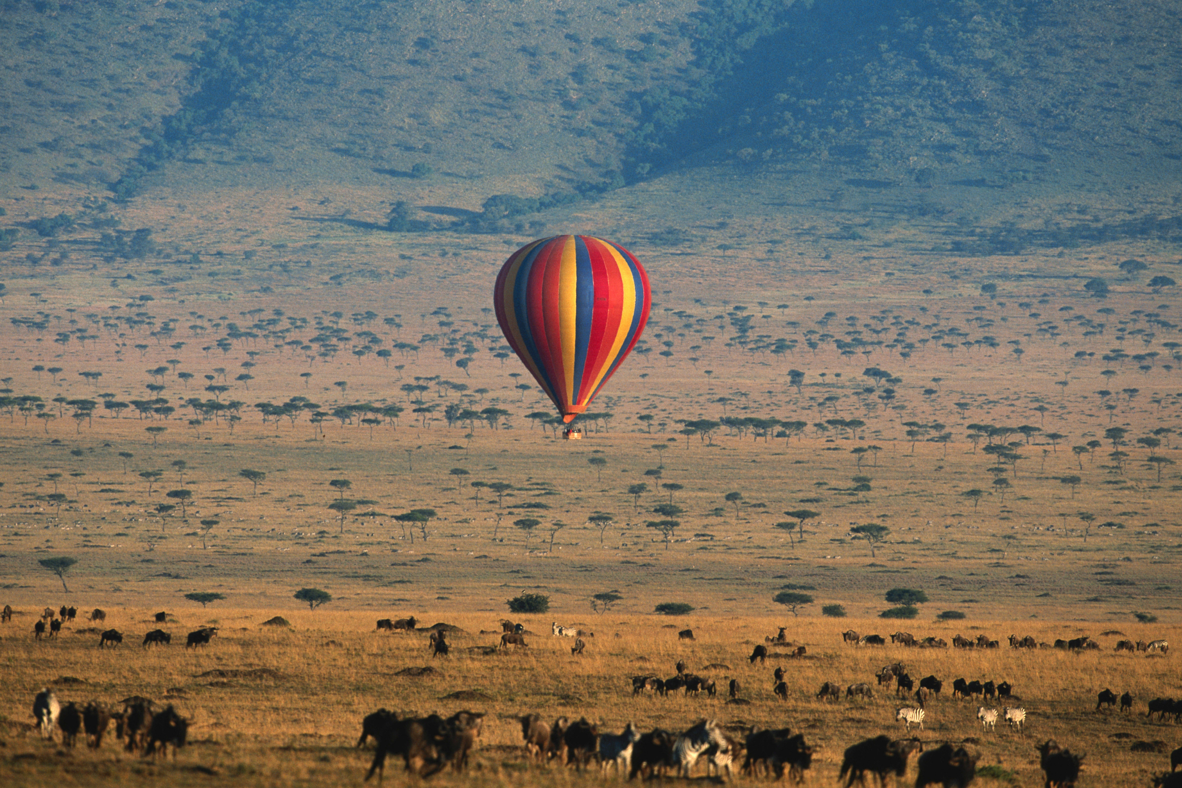 eldoret (4).webp